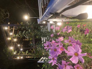 お風呂イメージ