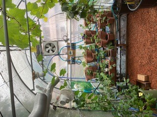 お風呂イメージ