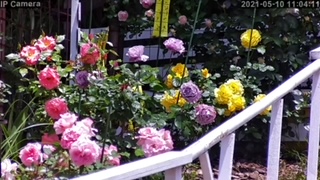 thumbnail_IMG_3241